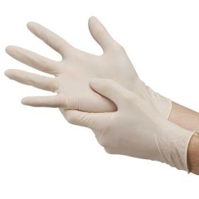Disposable Latex Gloves (Powder Free) 